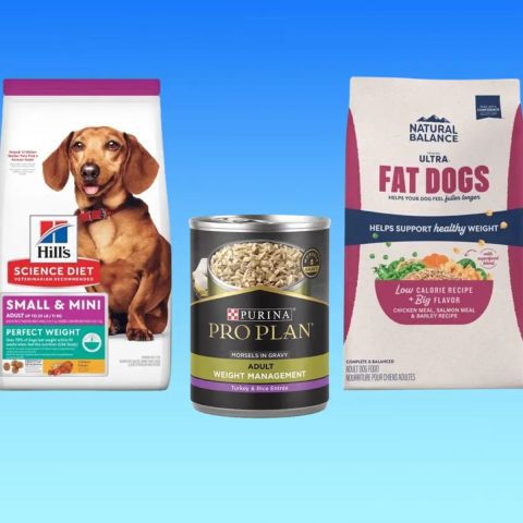 Dog Food Brands by Nutritional Value