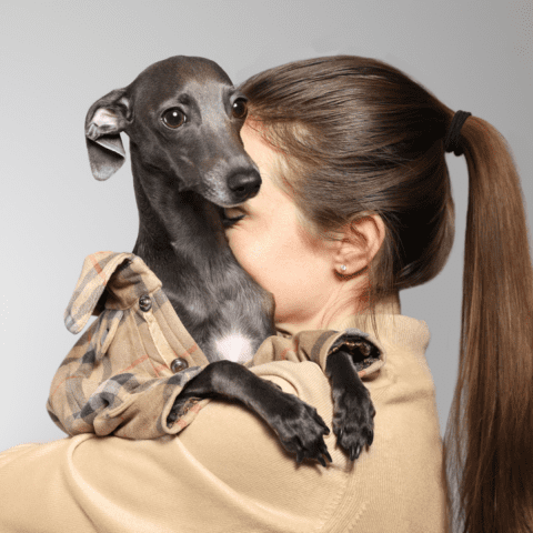 Greyhound Inspirational Therapy Dogs