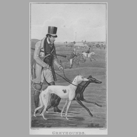 Greyhound Pioneers of the Early Era