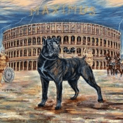 cane corsos Ancient Roots in the Roman Empire