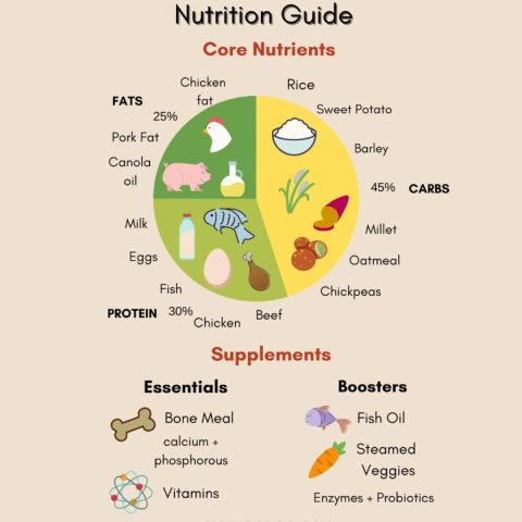 Compare Dog Food Nutritional Values With This Chart