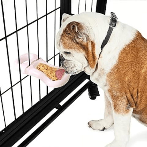 Crate Training for Bulldog Anxiety Relief