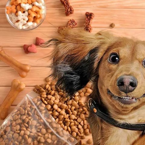 Ranking Dog Foods by Nutritional Value