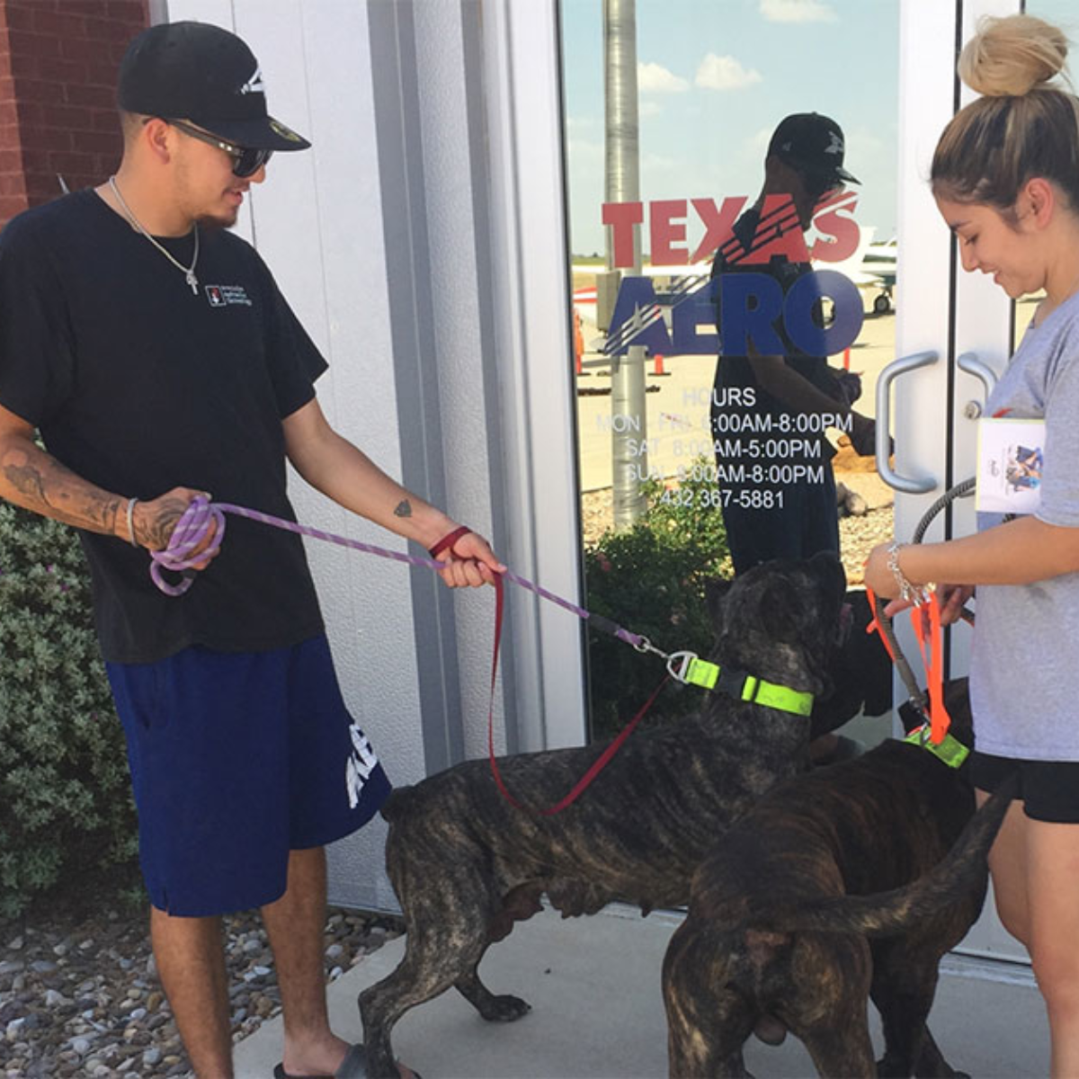 Finding Cane Corso-Friendly Accommodations