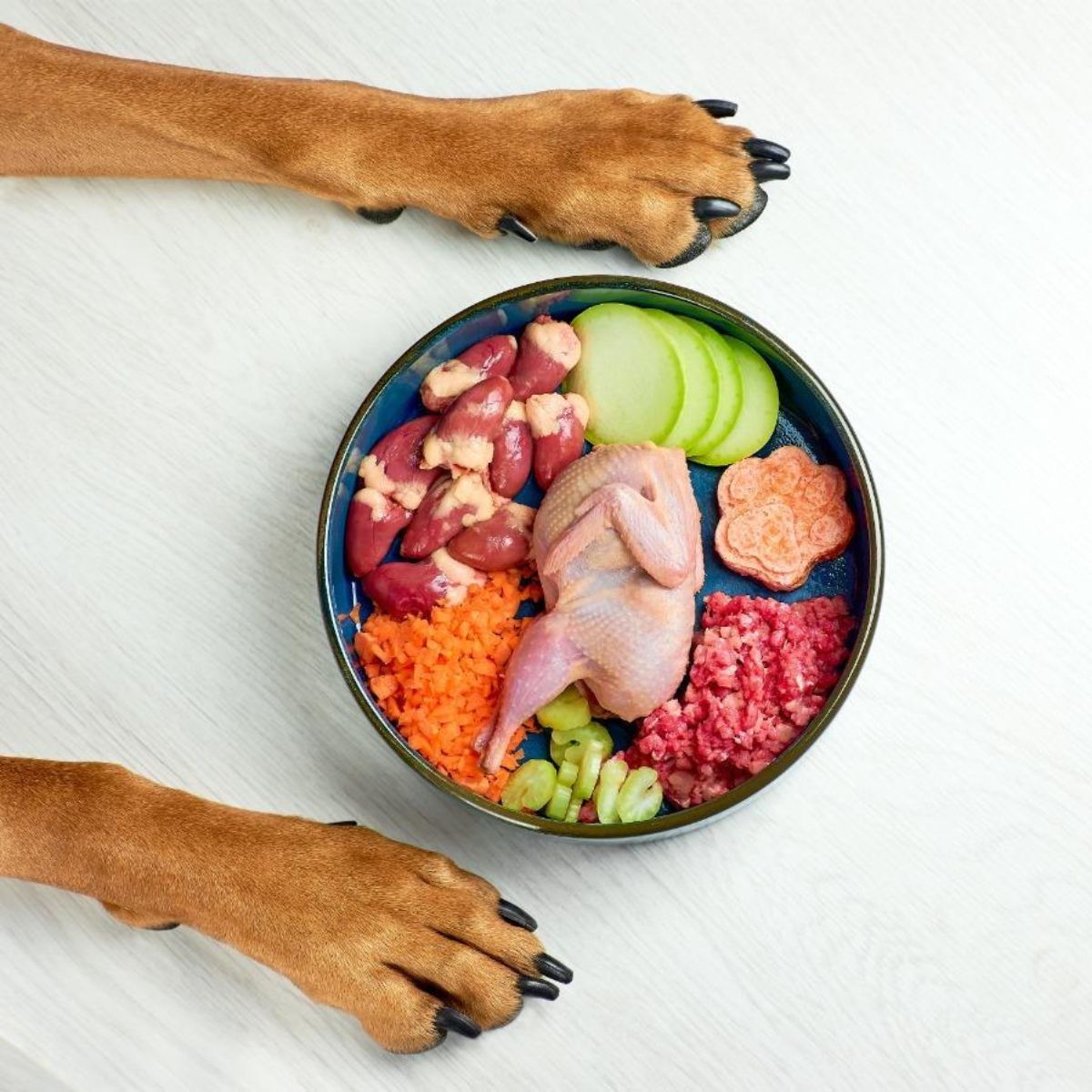 The Importance of Natural Nutrition for dog food