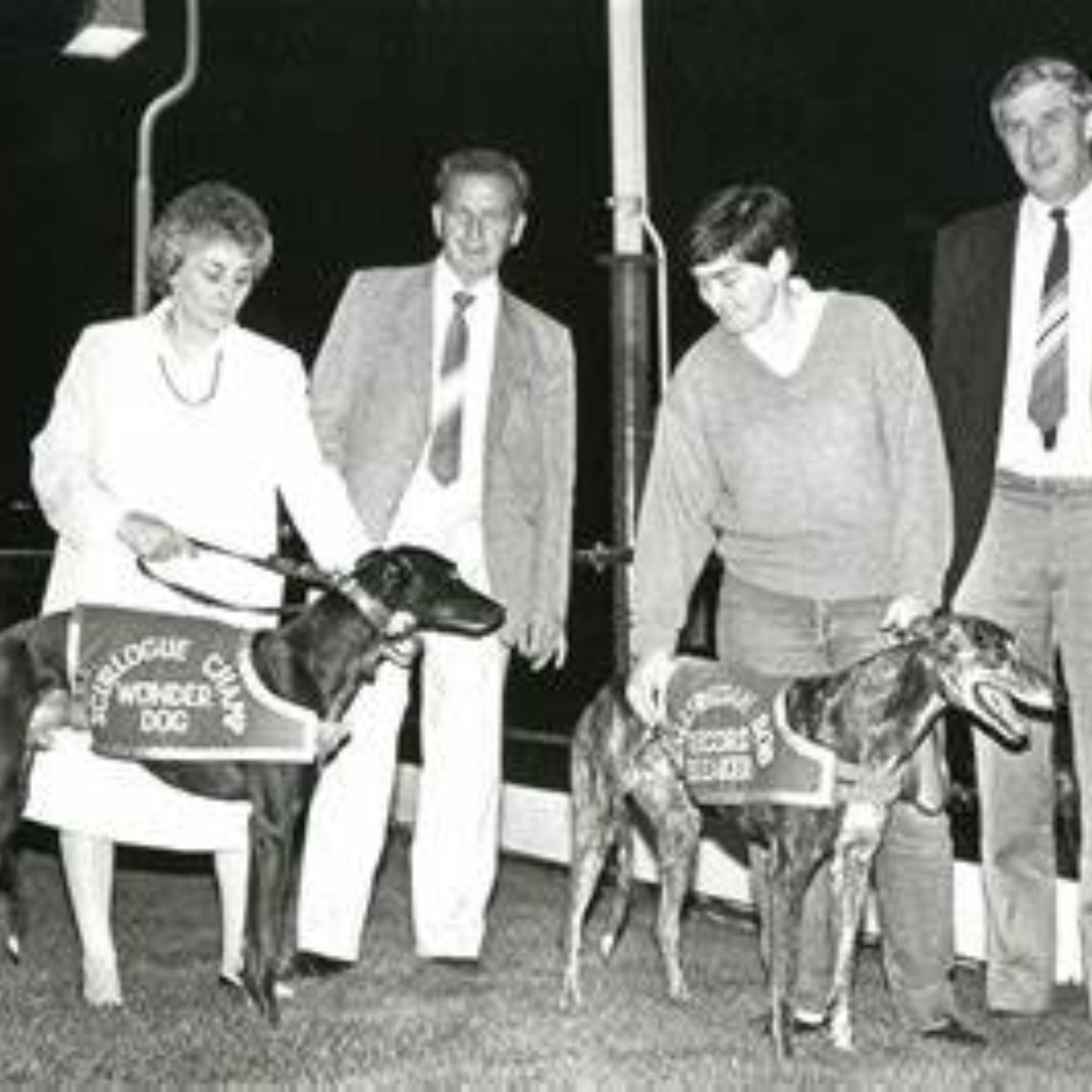 greyhound The Rise of a Legend Ballyregan Bob