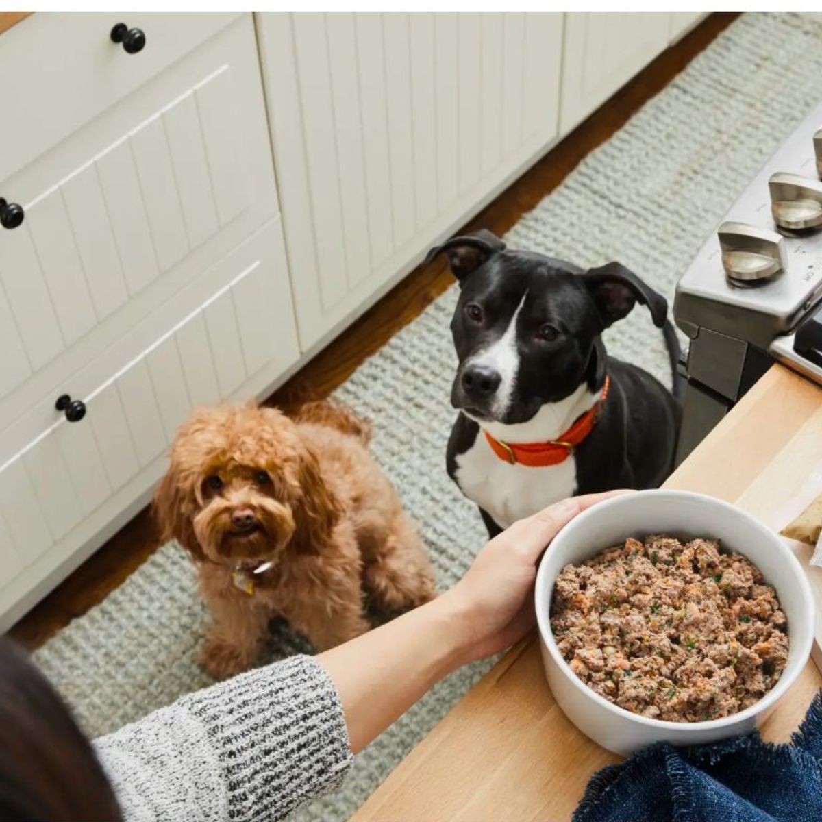 7 Best Dog Foods Nutritional Value Breakdown